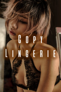 copy lingerie cover