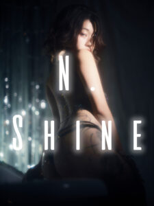 n. shine cover