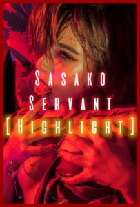 sasako servant highlight cover