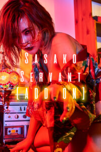 sasako servant addon