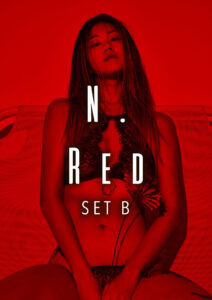 n. red set b cover